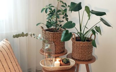 Décoration : Pourquoi les couleurs que vous choisissez révèlent votre personnalité secrète