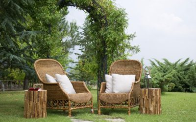 Décoration Mortelle : Comment Votre Intérieur Peut Nuire à Votre Santé