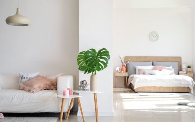 Décoration en Vert : Pourquoi vos plantes doivent prendre la parole