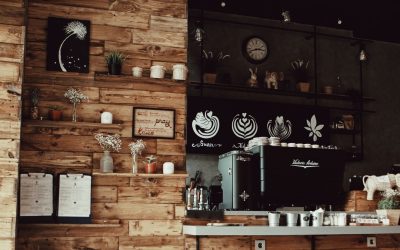 Quand Votre Animal de Compagnie Redéfinit la Décoration: Réinvente Ta Maison