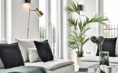 Décoration : Les secrets d’une maison tendance et élégante